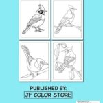 Blue Jay Coloring Book for Kids (ages 4-8): Make the perfect Bird coloring book a unique gift for Blue Jay lovers | A Cute & Fun Exclusive … Jay Drawing Activity Book for Boys and Girls