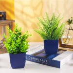 Der Rose 2 Pack Fake Plants Small Artificial Plants in Blue Pots Faux Plants Indoor for Home Room Bathroom Living Room Decor