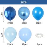 Blue Balloon Set, 60 Packs 12 Inches Metallic Chrome Blue Balloons Pearl Blue Balloons Macaron Baby Blue Balloons Light Blue Balloons for Bridal Shower, Wedding, Baby Shower, Birthday Party,